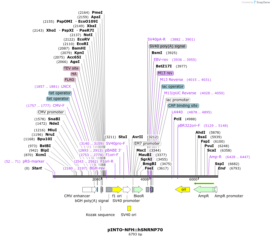 112093_map