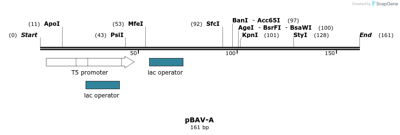 112096_map