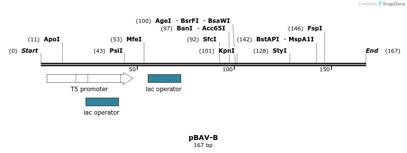 112098_map