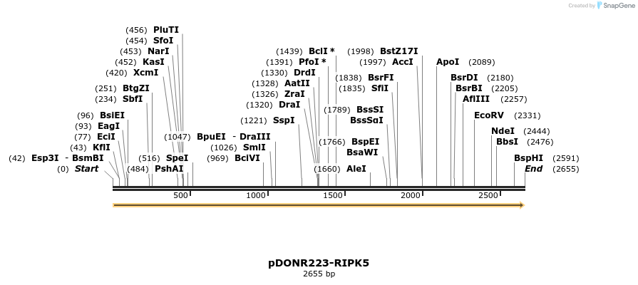 11210_map