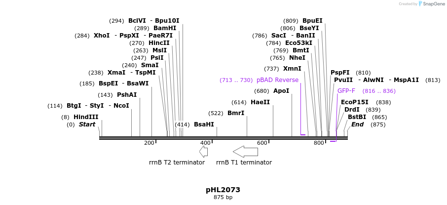 112105_map