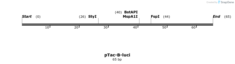112106_map