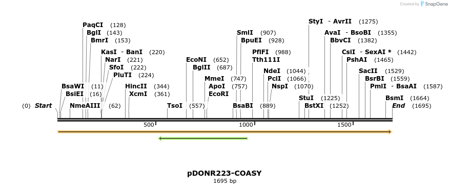 11212_map