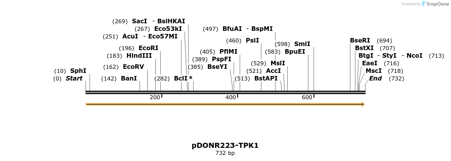 11213_map