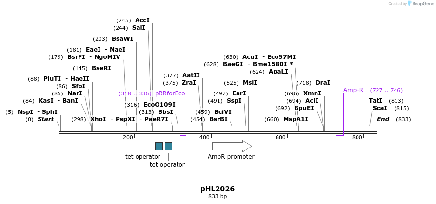 112133_map