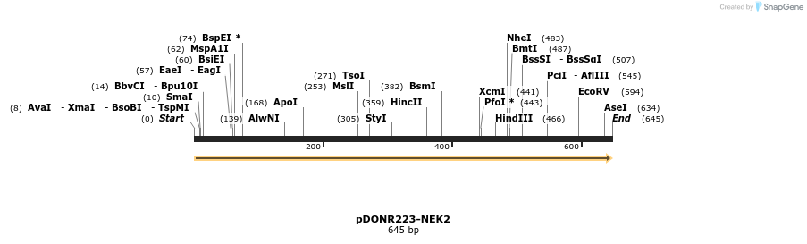 11214_map