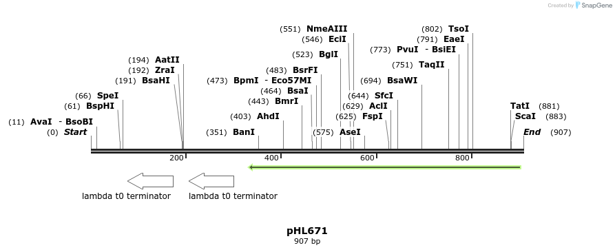 112142_map