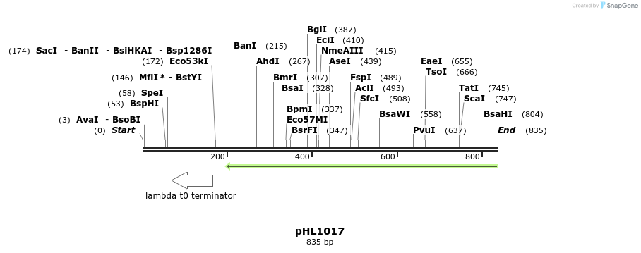 112143_map