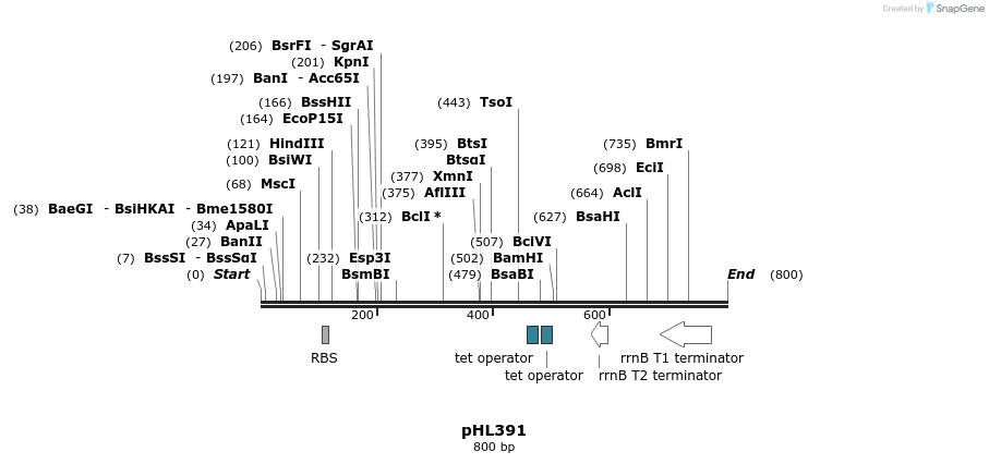 112151_map