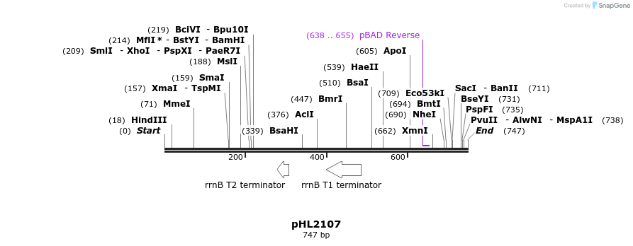 112152_map