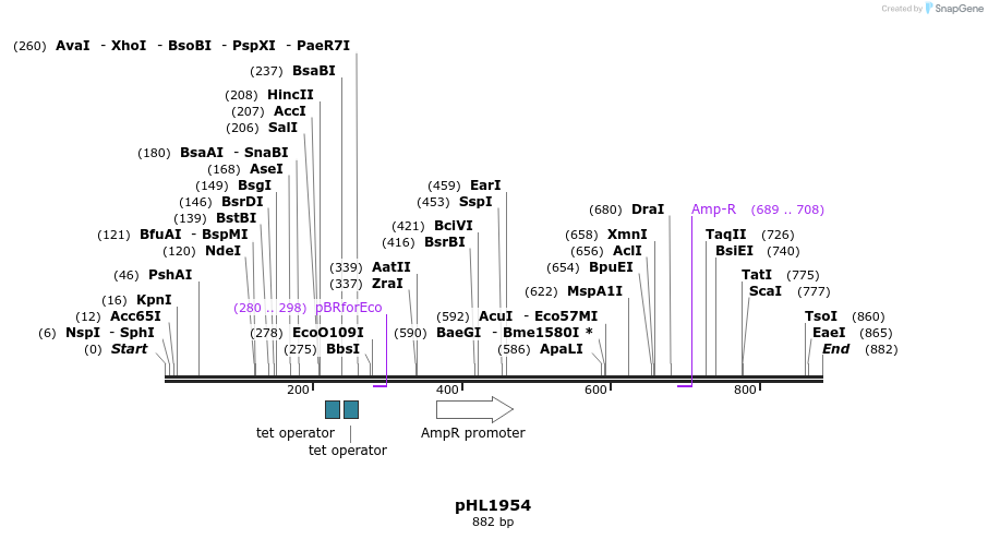 112159_map