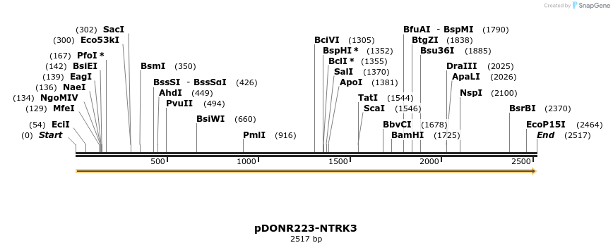 11216_map