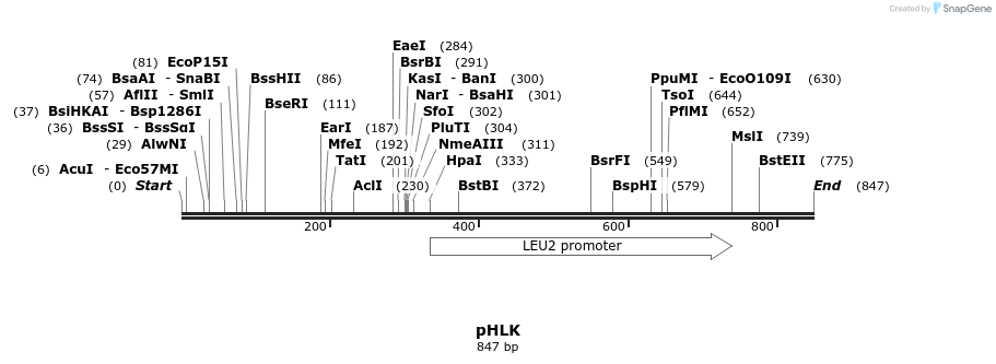 112171_map