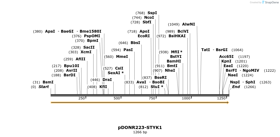 11218_map
