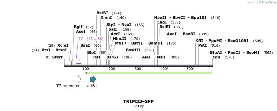 112187_map