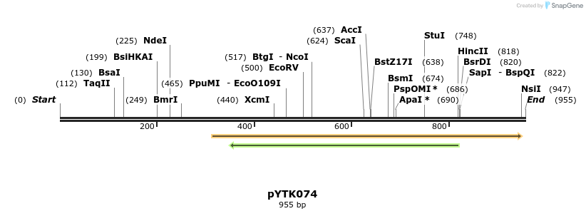 112195_map