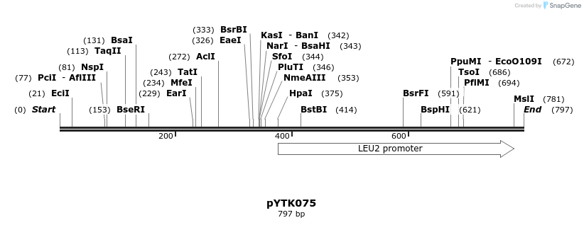 112197_map