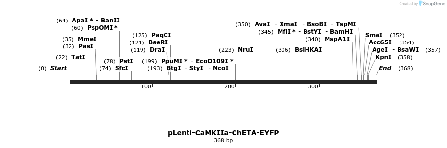 112198_map