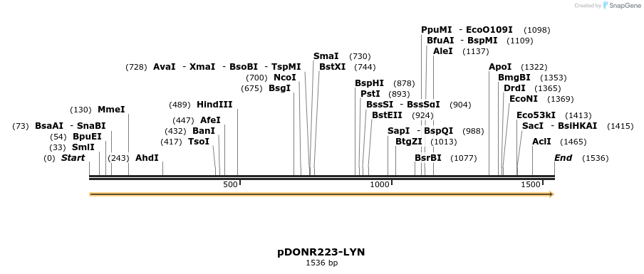 11220_map