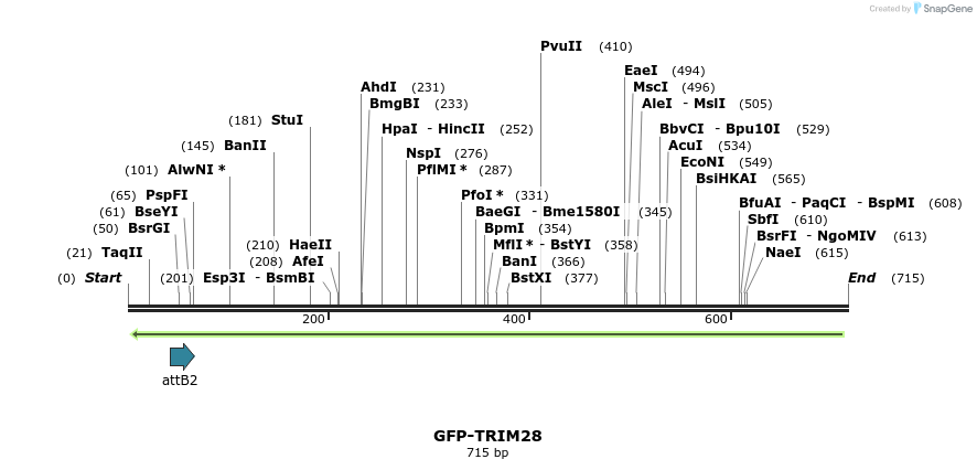 112207_map