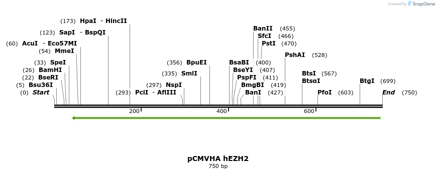 112219_map