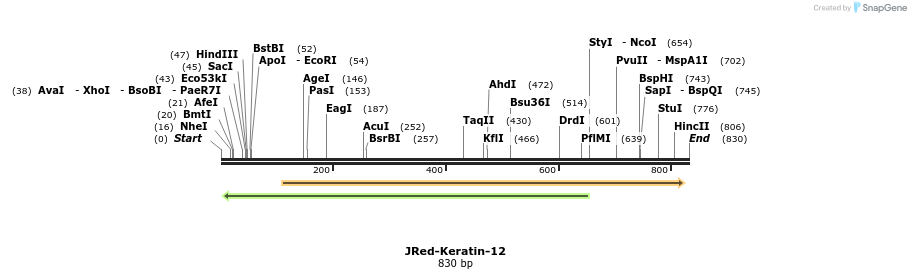 112231_map