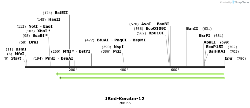 112233_map