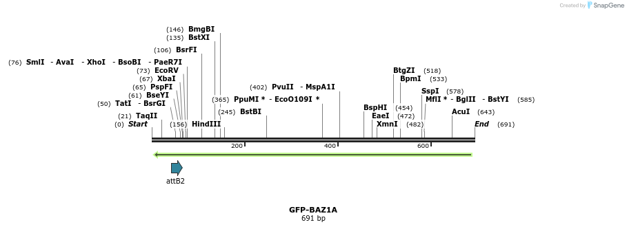 112234_map