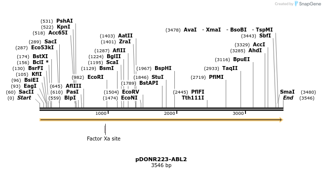 11224_map