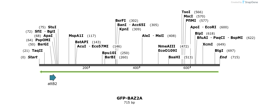 112243_map