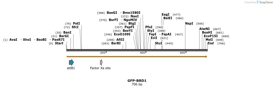 112244_map