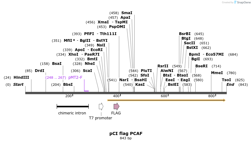 112248_map