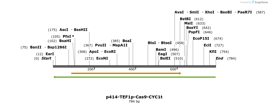 112250_map