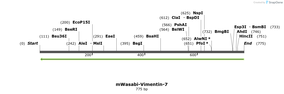 112253_map