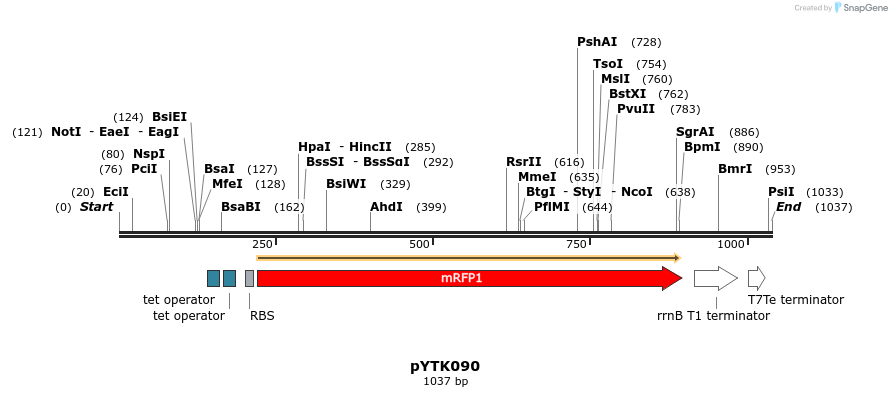 112256_map
