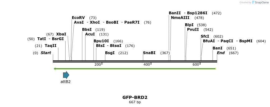 112259_map