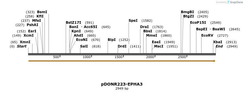 11226_map