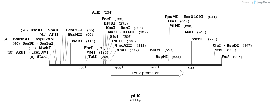 112281_map
