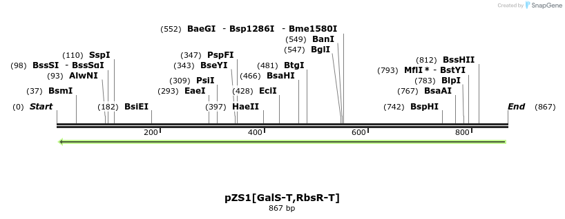 112284_map