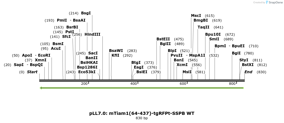 112289_map