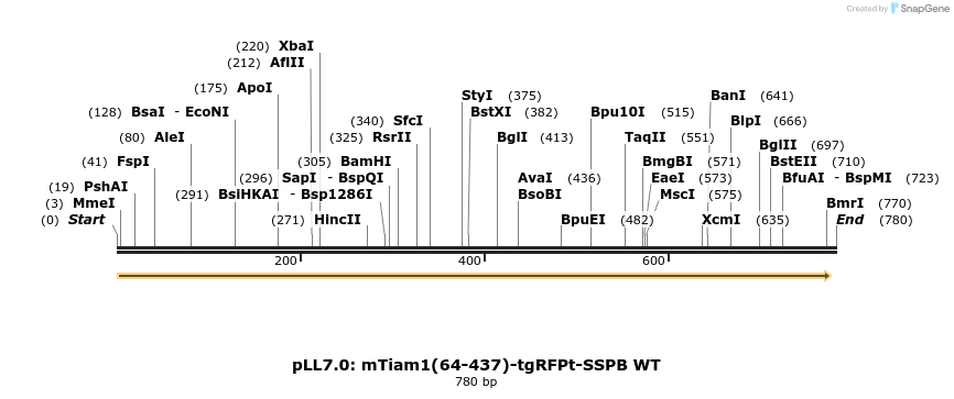 112290_map