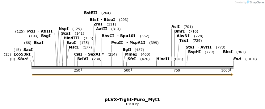 112296_map