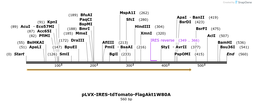 112300_map