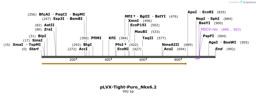 112301_map