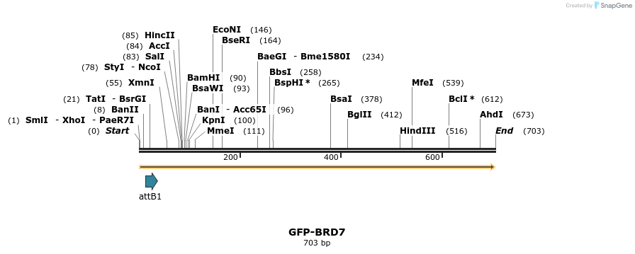 112304_map
