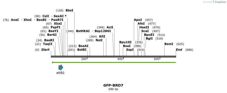 112306_map