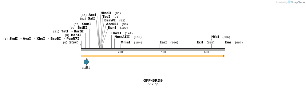 112307_map