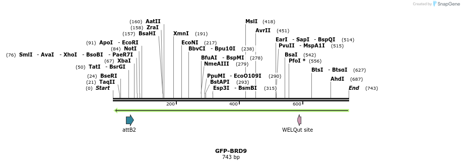 112308_map