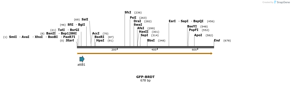 112309_map
