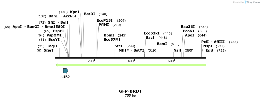112310_map